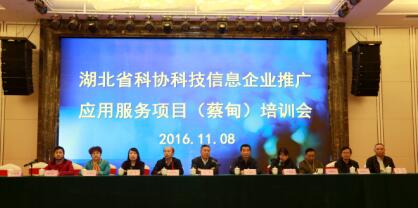 科技信息服務(wù)新篇章 2016年武漢蔡甸企業(yè)推廣應(yīng)用項目培訓(xùn)圓滿舉行